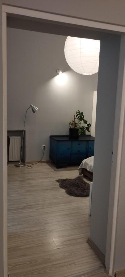 Zielona Przystan Apartment Łódź Exterior foto